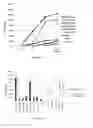 Fig. 24 - Fn14 Binding Proteins and Uses Thereof