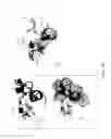 Fig. 34 - Fn14 Binding Proteins and Uses Thereof