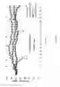 Fig. 62 - Fn14 Binding Proteins and Uses Thereof