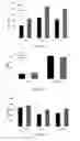 Fig. 81 - Fn14 Binding Proteins and Uses Thereof