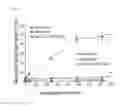 Fig. 08 - Stable IgG4 antibodies