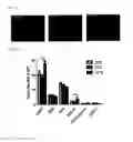 Fig. 03 - Stimulation via TLR4/MD-2 to reverse type 1 diabetes