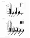 Fig. 04 - Stimulation via TLR4/MD-2 to reverse type 1 diabetes