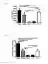 Fig. 11 - Stimulation via TLR4/MD-2 to reverse type 1 diabetes