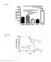 Fig. 12 - Stimulation via TLR4/MD-2 to reverse type 1 diabetes