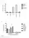 Fig. 06 - Humanized and chimeric monoclonal antibodies to CD99