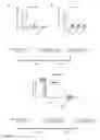 Fig. 08 - Humanized and chimeric monoclonal antibodies to CD99