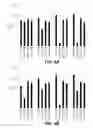 Fig. 08 - Bispecific HER2 antibodies and methods of use