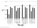 Fig. 09 - Bispecific HER2 antibodies and methods of use