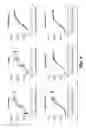 Fig. 12 - Bispecific HER2 antibodies and methods of use