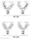 Fig. 14 - Bispecific HER2 antibodies and methods of use