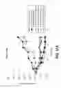 Fig. 23 - Bispecific HER2 antibodies and methods of use