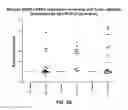 Fig. 05 - Anti-DPEP3 antibodies and methods of use