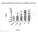 Fig. 06 - Anti-DPEP3 antibodies and methods of use