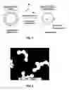 Fig. 02 - BIO-BASED POLYMER NANOPARTICLE AND COMPOSITE MATERIALS DERIVED THEREFROM