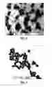Fig. 03 - BIO-BASED POLYMER NANOPARTICLE AND COMPOSITE MATERIALS DERIVED THEREFROM