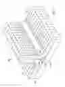 Fig. 04 - Noodle Comprised of a Matrix of Discontinuous Filaments