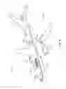 Fig. 06 - Systems and methods for composite radius fillers