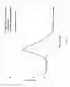 Fig. 10 - Solution blending process for the fabrication of NYLON6-montmorillonite nanocomposites