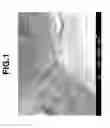 Fig. 02 - YTTRIUM-BASE SPRAYED COATING AND MAKING METHOD
