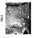 Fig. 06 - YTTRIUM-BASE SPRAYED COATING AND MAKING METHOD