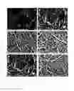 Fig. 02 - Method for improving single-wall carbon nanotube dispersion