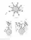 Fig. 04 - Inks for 3D printing gradient refractive index (GRIN) optical components