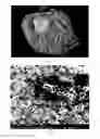 Fig. 02 - Compositions and methods for cementing a wellbore using microbes or enzymes