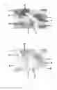 Fig. 02 - Chromic luminescent compositions and textiles