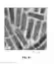 Fig. 11 - Low-cadmium nanocrystalline quantum dot heterostructure