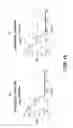 Fig. 16 - Low-cadmium nanocrystalline quantum dot heterostructure