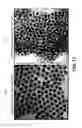 Fig. 18 - Low-cadmium nanocrystalline quantum dot heterostructure