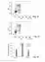 Fig. 06 - Stem cell culture medium and method