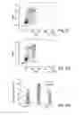 Fig. 07 - Stem cell culture medium and method
