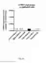 Fig. 04 - Ex vivo proliferation of epithelial cells
