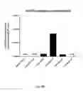 Fig. 05 - Ex vivo proliferation of epithelial cells