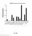 Fig. 10 - Ex vivo proliferation of epithelial cells