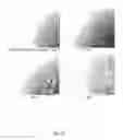 Fig. 13 - Ex vivo proliferation of epithelial cells