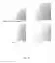Fig. 14 - Ex vivo proliferation of epithelial cells