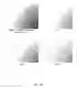 Fig. 16 - Ex vivo proliferation of epithelial cells