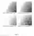 Fig. 17 - Ex vivo proliferation of epithelial cells