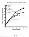 Fig. 18 - Ex vivo proliferation of epithelial cells