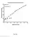 Fig. 24 - Ex vivo proliferation of epithelial cells
