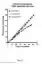 Fig. 27 - Ex vivo proliferation of epithelial cells