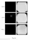 Fig. 41 - Ex vivo proliferation of epithelial cells