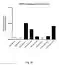 Fig. 08 - Ex vivo proliferation of epithelial cells