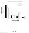 Fig. 43 - Ex vivo proliferation of epithelial cells