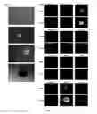 Fig. 04 - Methods for reprogramming cells and uses thereof