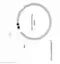 Fig. 05 - Two plasmid mammalian expression system