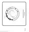 Fig. 07 - Two plasmid mammalian expression system